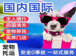 哈尔滨太平机场邮寄国际宠物托运 【国